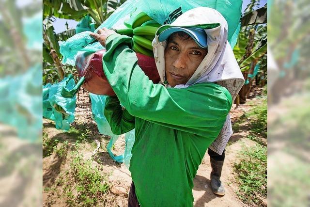 Fairtrade wirkt nicht richtig