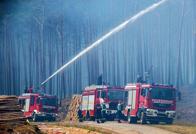 Waldbrand in Mecklenburg-Vorpommern  | Foto: Jens Bttner (dpa)