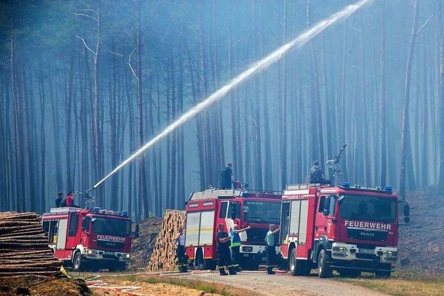 Fotos: Waldbrnde und Lscharbeiten in Mecklenburg-Vorpommern