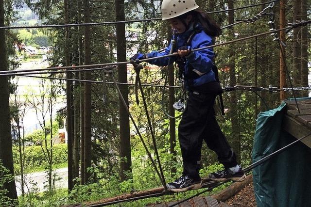 Erdmnnchen im Schwarzwald unterwegs