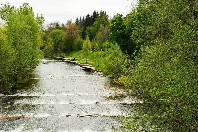 Die Ursache der Verschmutzung des Flusses Wiese bei Lrrach ist noch unklar