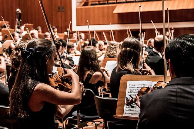 Am Freitag spielt das Akademische Orch... im Konzerthaus sein Jubilumskonzert.  | Foto: Pro