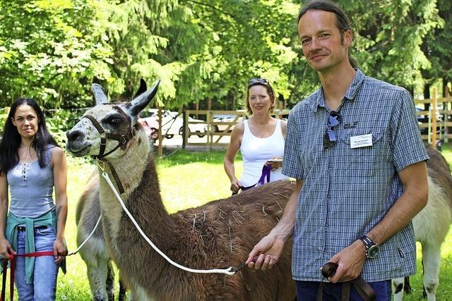 In Donaueschingen helfen Lamas bei der Psychotherapie
