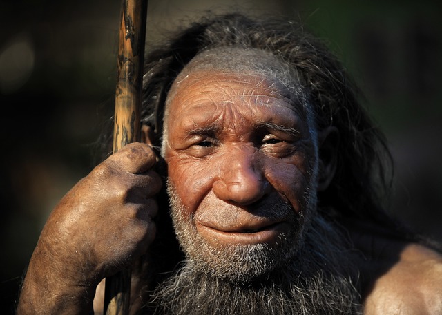 Die Neandertaler hatten wenig Turbulen...ne Nachbildung im Museum von Mettmang.  | Foto: Verwendung weltweit, usage worldwide