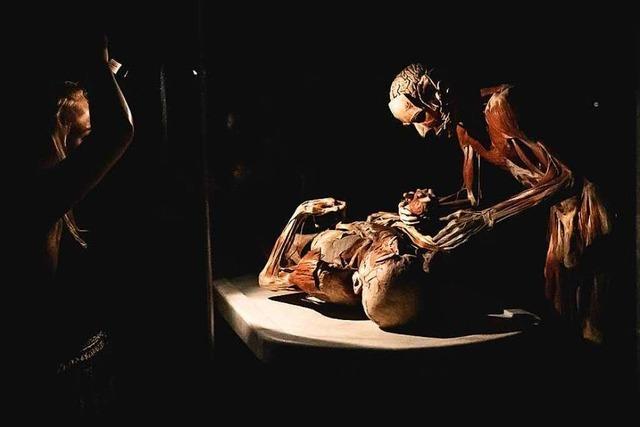 Fotos: Mit Taschenlampe bei der Krperwelten-Ausstellung