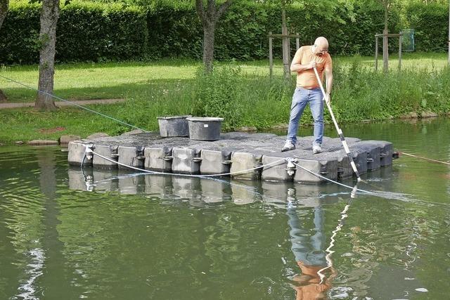 Anders saniert als genehmigt