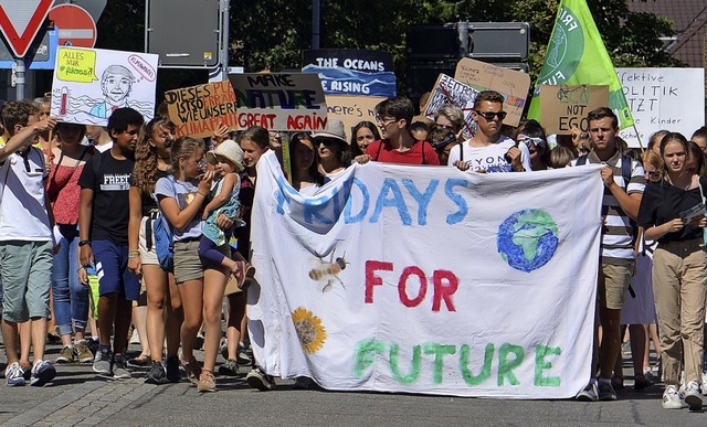 Der Schlerstreik macht Sommerpause, a...idays-for-Future-Bewegung geht weiter.  | Foto: Savera Kang