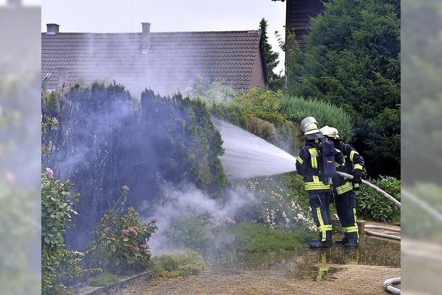 Feuer in der Hecke