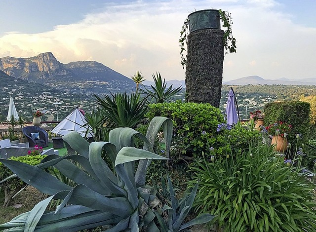 Palmenstumpf in Vence   | Foto: Stefan Brndle