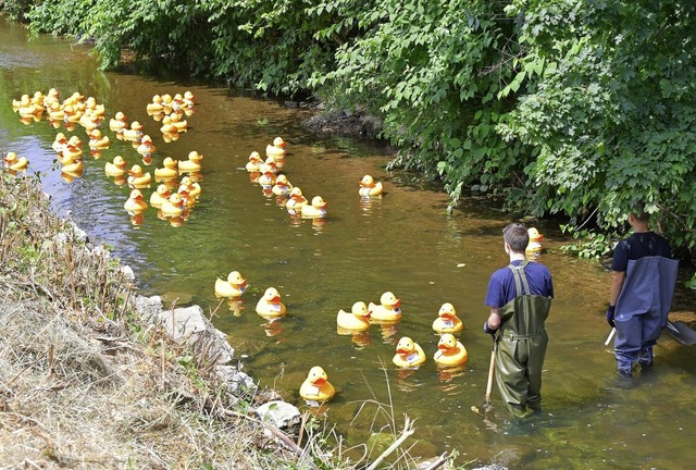 Der niedrige Wasserstand sorgte dieses.... Dem Spa tat&#8217;s keinen Abbruch.  | Foto: Dieter Erggelet