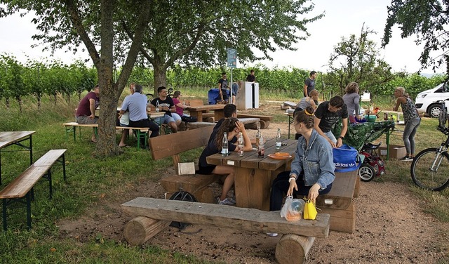 Der Jugendgrillplatz liegt idyllisch zwischen Reben.   | Foto: Volker Mnch