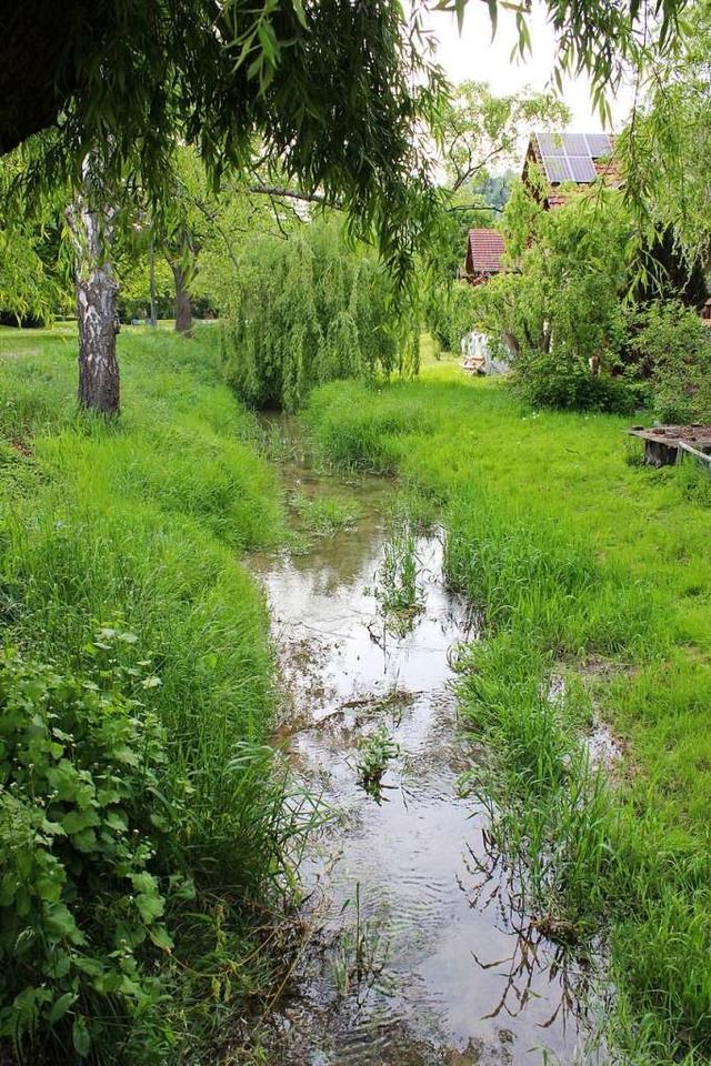 So sieht der Hodbach normalerweise aus.  | Foto: Victoria Langelott