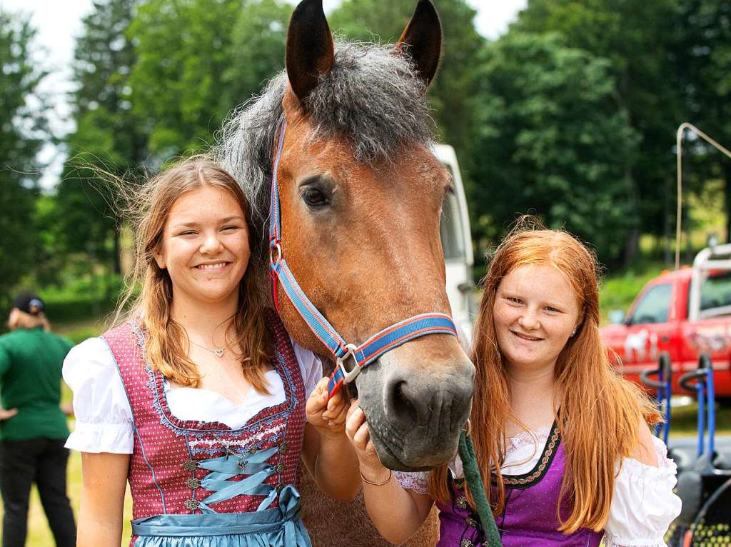 Dressur, Gelnde und Geschicklichkeit standen auf dem Programm beim Fahrertag des Reit- und Fahrvereins in St. Mrgen.