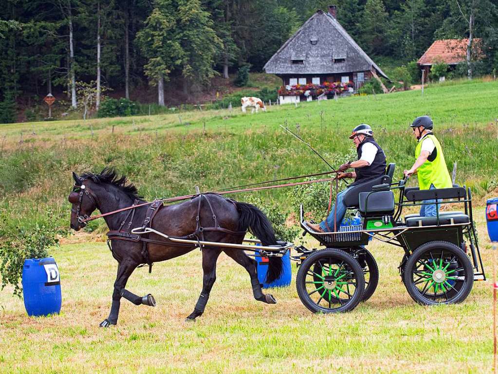 Dressur, Gelnde und Geschicklichkeit standen auf dem Programm beim Fahrertag des Reit- und Fahrvereins in St. Mrgen.