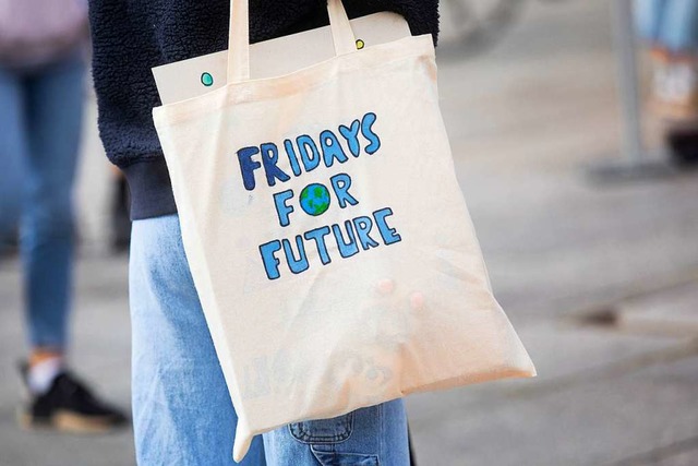 Eine Schlerin trgt bei einer Fridays...tetasch mit FfF-Logo durch die Menge.   | Foto: Rolf Vennenbernd (dpa)