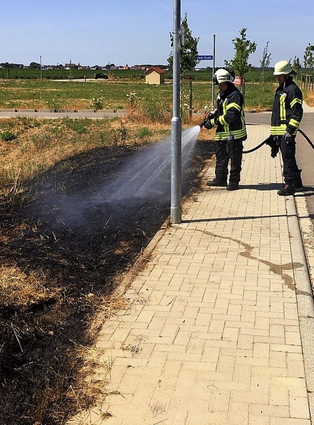 Schnell gelscht war der Flchenbrand.   | Foto: Feuerwehr Endingen