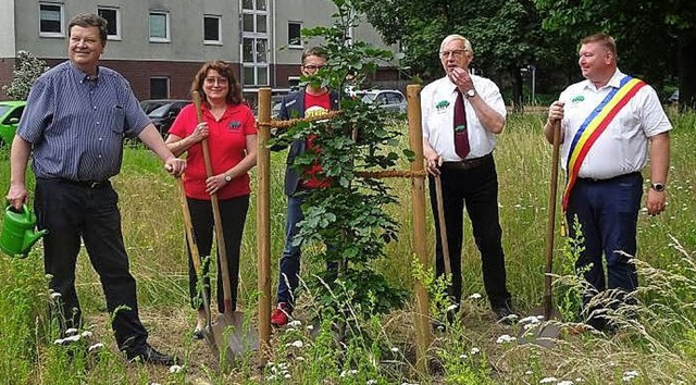 Pflanzung einer Buche &#8211; obligatorisch bei Buchholz-Treffen.   | Foto: Verein