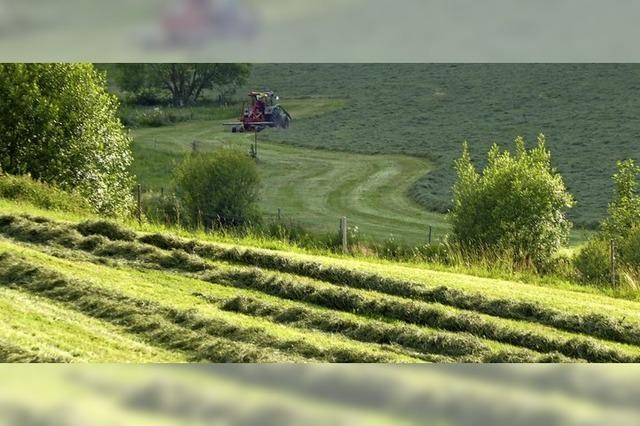 Landschaftsgrafiker