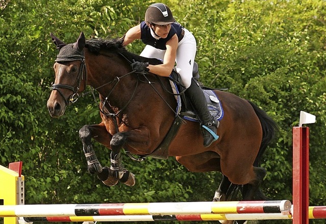 Turniersiegerin Nicole Schwarz mit Lillet S   | Foto: Anita Birkenhofer