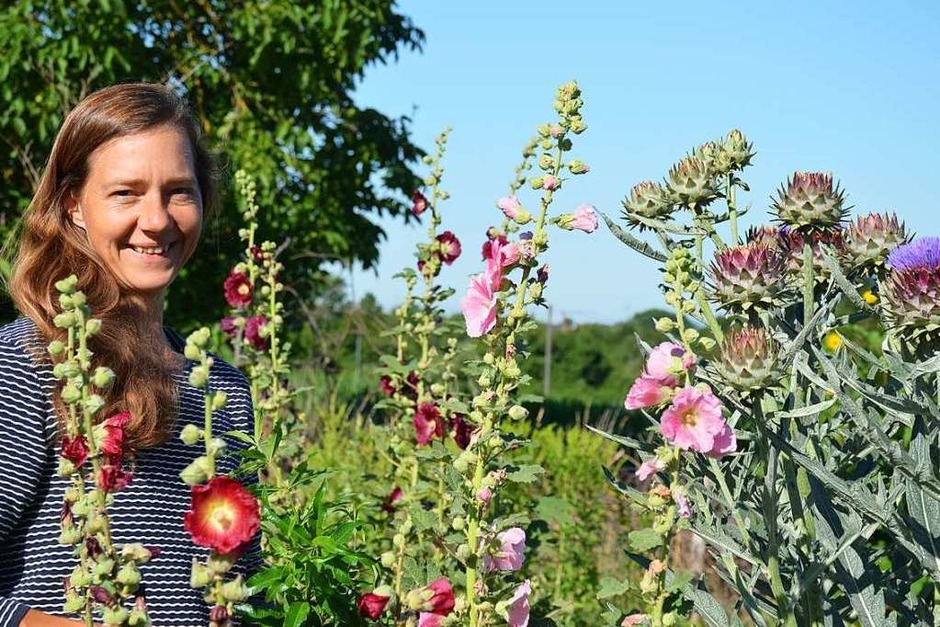 Innerhalb von gut zwei Jahren hat Staudengärtnerin Carolin Urban in Leutersberg mit ihrem Demeter-Kräutergarten nicht nur ein kleines Unternehmen, sondern ein Paradies für Wildbienen, Insekten und andere Tiere geschaffen. (Foto: Gabriele Hennicke) Innerhalb von gut zwei Jahren hat Staudengärtnerin Carolin Urban in Leutersberg mit ihrem Demeter-Kräutergarten nicht nur ein kleines Unternehmen, sondern ein Paradies für Wildbienen, Insekten und andere Tiere geschaffen. (Foto: Gabriele Hennicke)