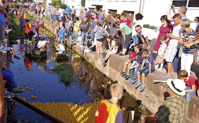 930 Enten hllten den Dorfbach in Gelb.   | Foto: Wolfgang Beck