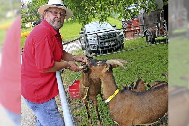 Geienfest bald wieder in Ltschenbach