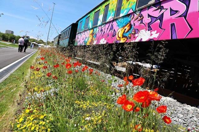 Das Jugendcaf im Zugwaggon soll auf den Lahrer Rossplatz