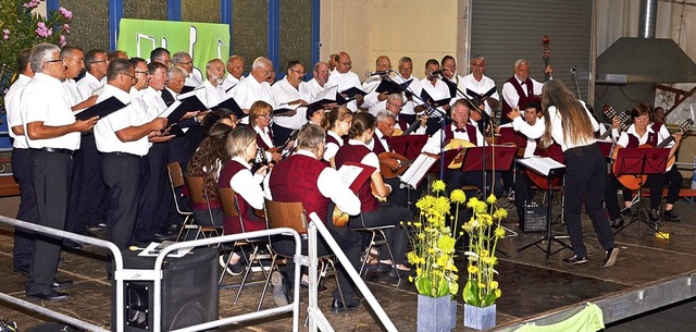 Der Hecklinger Mnnerchor und die Zupf...linsbergen beim gemeinsamen Auftritt.   | Foto: Roland Vitt