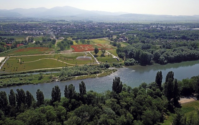 Die Luftaufnahme des Landesgartenschau...burg zeigt ein groes Klatschmohnfeld.  | Foto: Pommerenke Medien Mllheim