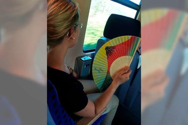 Keine Klimaanlage: Reisende kritisiert Hllenhitze in der Hllentalbahn