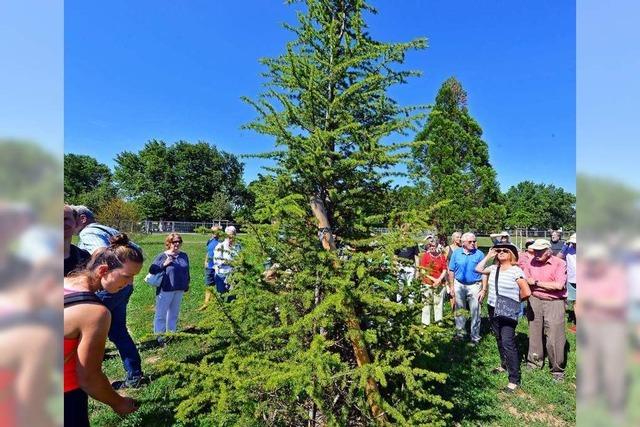 Fotos: BZ-Hautnah im Klimawandelwald am Freiburger Seepark