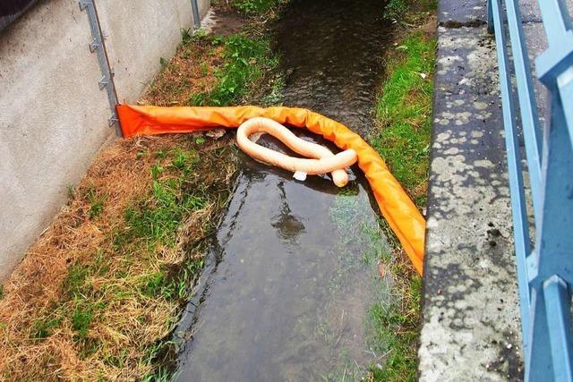 Polizei findet tote Fische im Dorfbach in Eichstetten