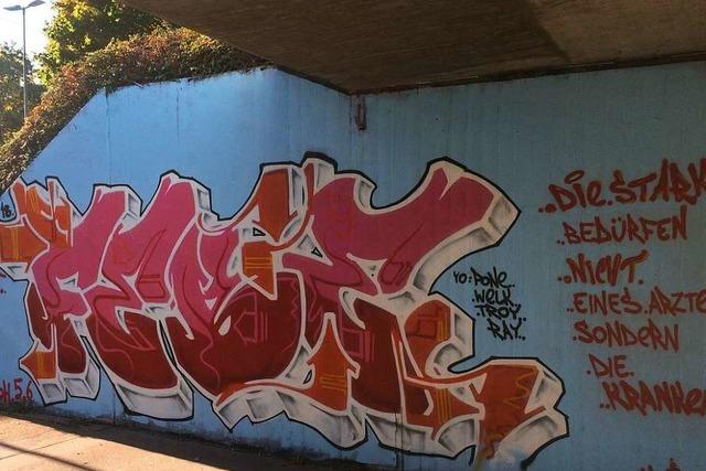 Organisator eines Graffiti-Workshops in Gundelfingen erzhlt, wie dieser zustande kam