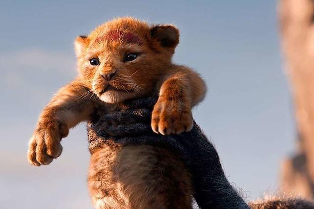 Der König der Löwen: So echt sah Animation noch nie aus