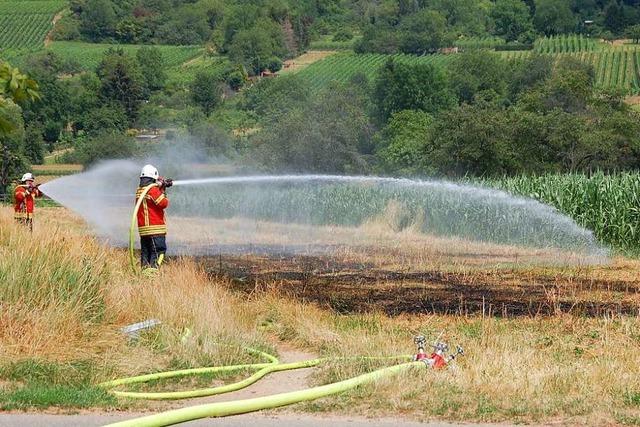 Feuerwehr verhindert Flchenbrand gegenber dem Vitra-Haus in Weil am Rhein