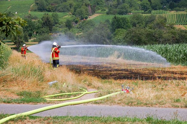 Wenn die Feuerwehr nicht so effektiv u...ich ein groer Flchenbrand geworden.   | Foto: Herbert Frey
