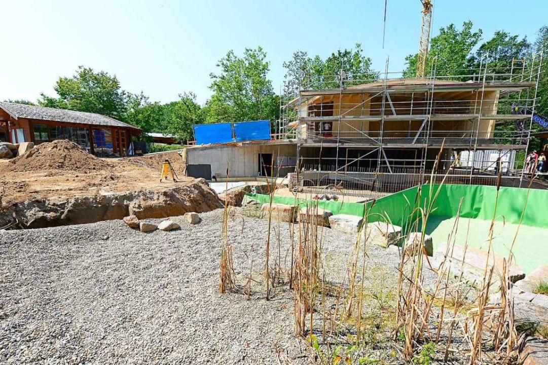 Hier soll die neue Auensauna entstehen.  | Foto: Ingo Schneider