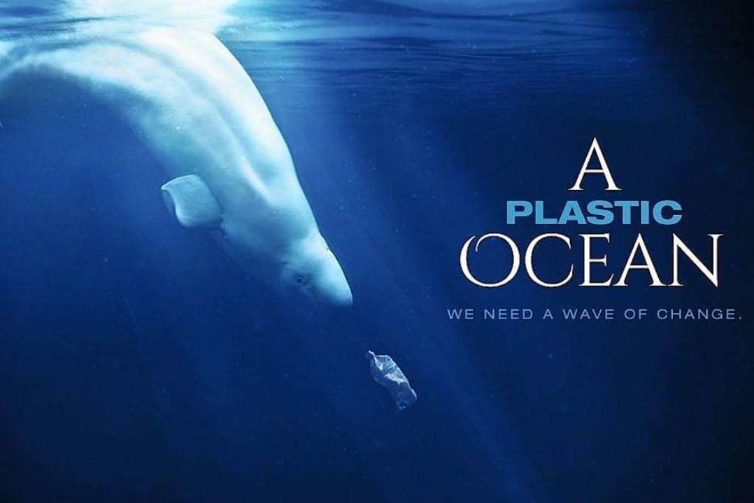 Mehrfach preisgekrönte Doku: A Plastic Ocean erschien 2013 in den Kinos  | Foto: Veranstalter