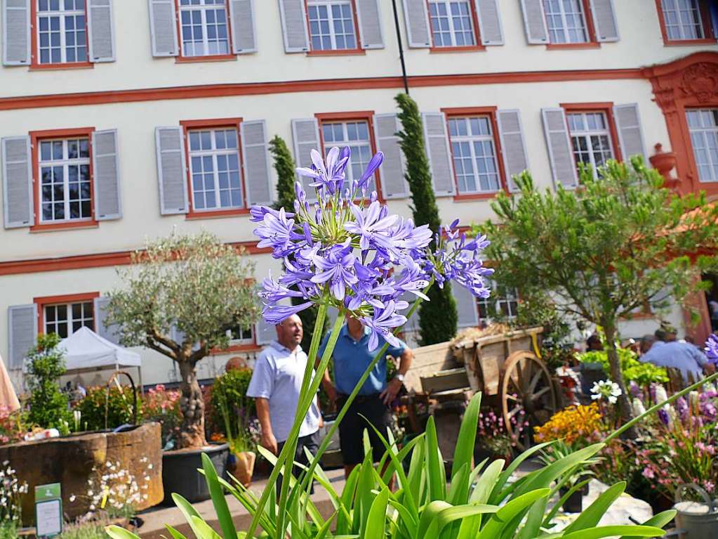 Eindrcke von der Diga Gartenmesse auf Schloss Beuggen