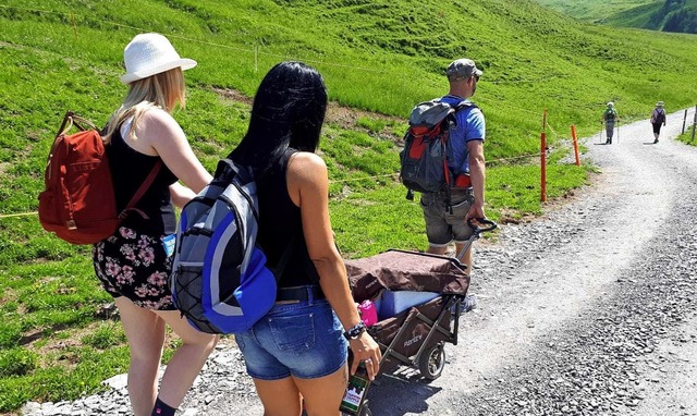 Betriebsausflge bieten  eindrucksvoll...ahrt und Wanderung auf der Klewenalp.   | Foto: Claudia Gempp