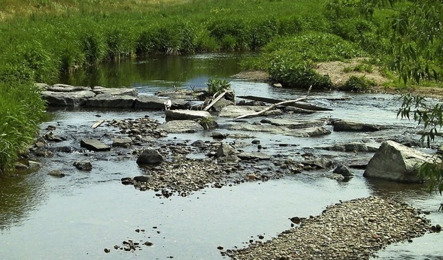 Auch im Ortenaukreis fliet in  zahlre...en und Flssen nur noch wenig Wasser.   | Foto: Lndaratsamt Untere Wasserbehrde