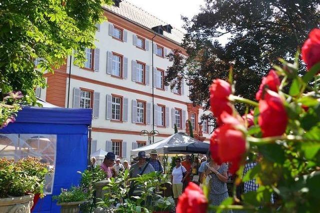 Fotos: Die Diga in Rheinfelden am Samstag