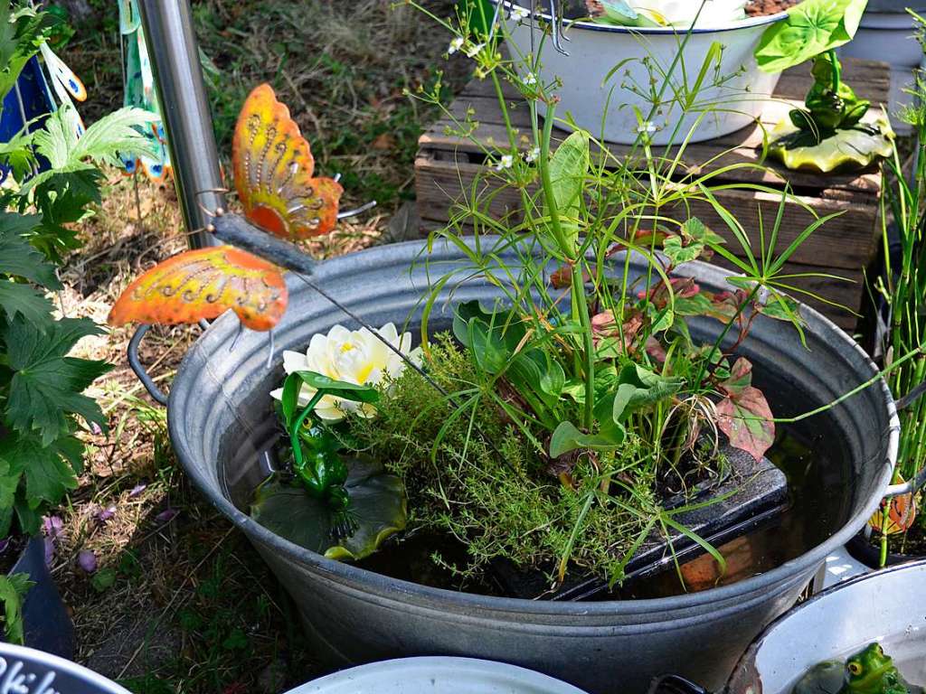 Ob grn oder bunt, Kruter oder Blume – bei der Diga ist Vielfalt fr viele Ideen angesagt.