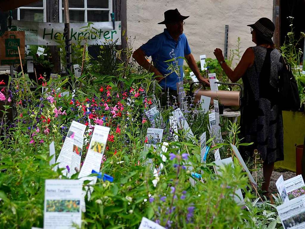 Ob grn oder bunt, Kruter oder Blume – bei der Diga ist Vielfalt fr viele Ideen angesagt.