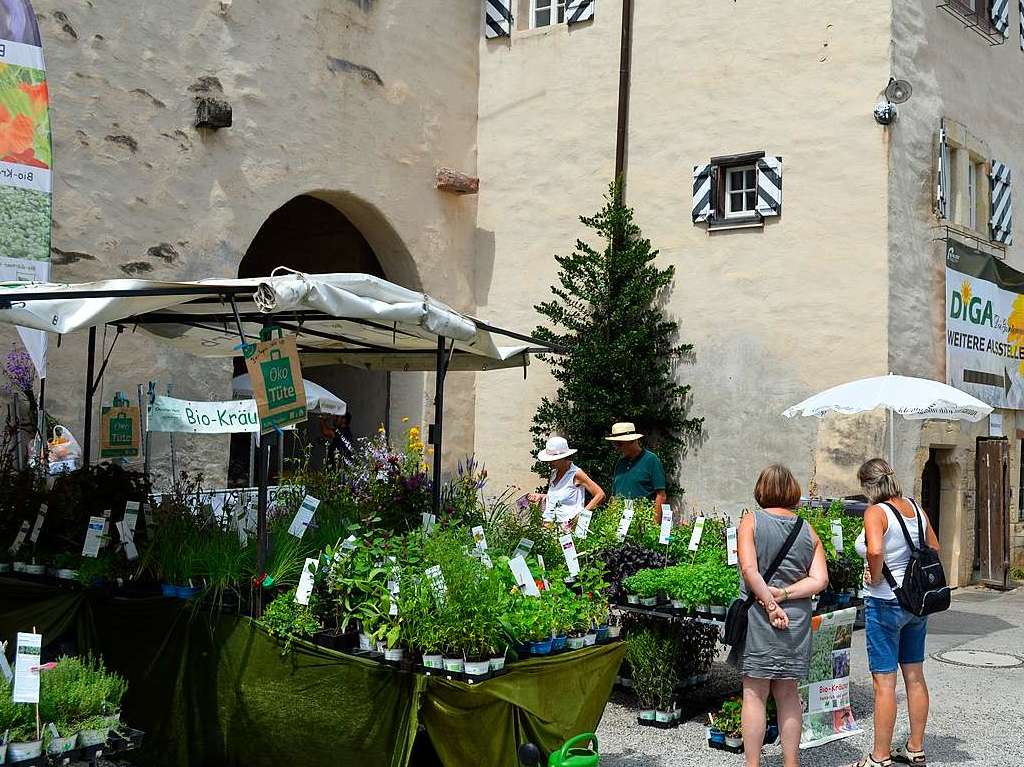 Ob grn oder bunt, Kruter oder Blume – bei der Diga ist Vielfalt fr viele Ideen angesagt.