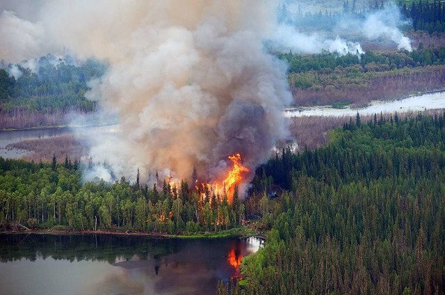 Luftaufnahmen von einem Brand in der Nhe des Berges Frozen Calf  | Foto: Sam Harrel/Alaska Interagency Incident Management Team