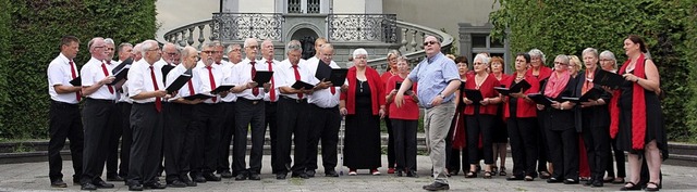 Die Chorgemeinschaft Bad Sckingen beim Konzert im Schlosspark  | Foto: Gerd Leutenecker