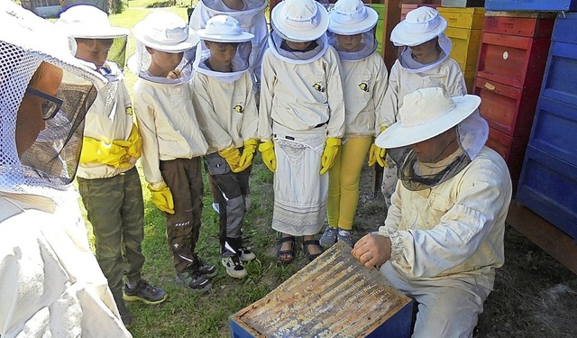 In Schutzausrstung eingepackt nherten sich die Schulkinder dem Bienenvolk.   | Foto: Bienenfreunde