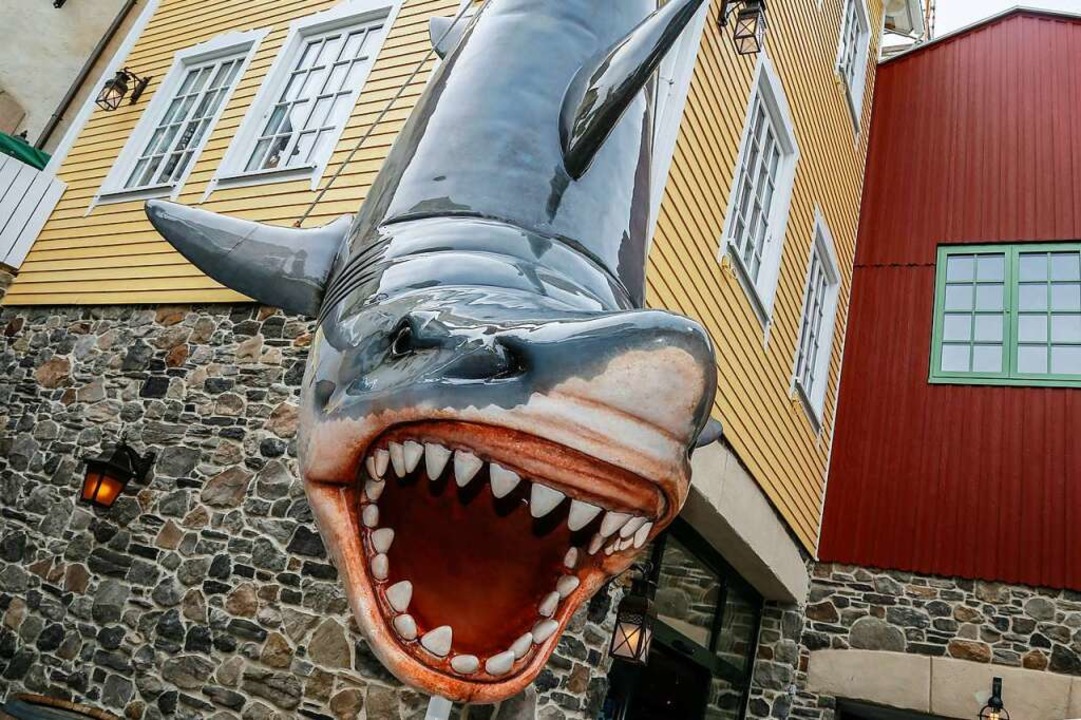 Der skandinavische Bereich im Europa-Park ist wieder offen - Rust