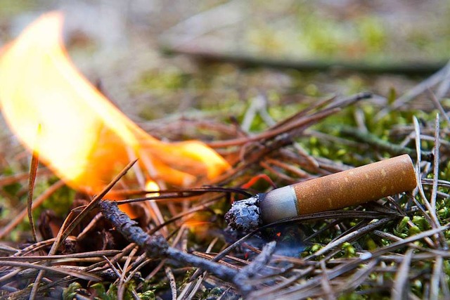 Weggeworfene Kippen knnen ein Feuer e...hen im Wald bis Ende Oktober verboten.  | Foto: Patrick Pleul